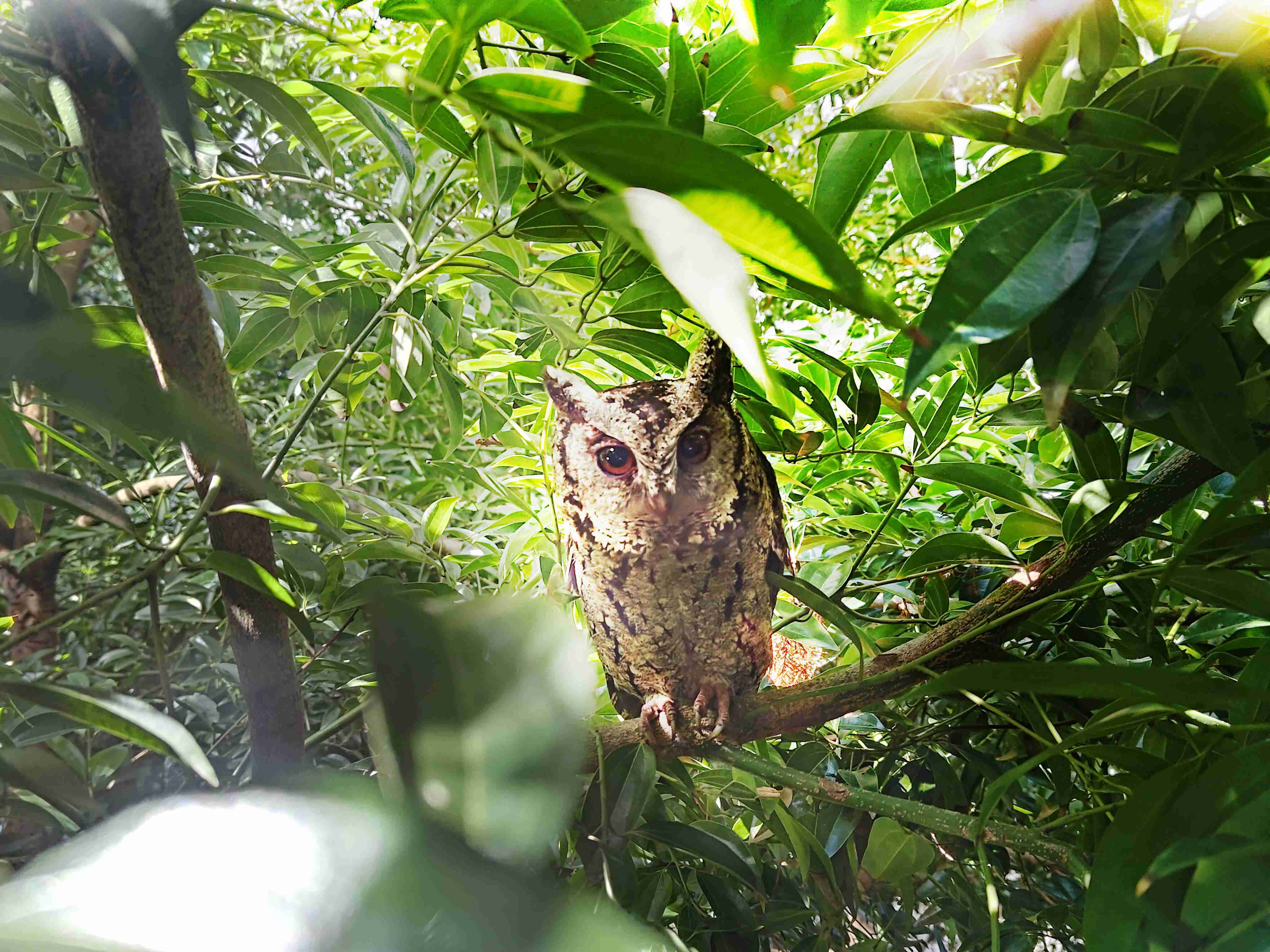 优游UB8致力提倡净零绿生活，，，，16年以来在全球各厂区植树逾百万棵，，，，造就各厂区树木蔚然成林，，，，犹如森林工厂，，，成为许多生物的栖息地